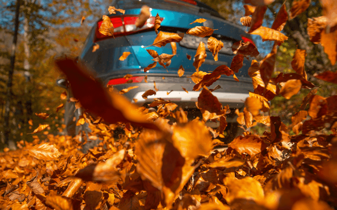 How Falling Leaves Can Affect Your Vehicle (and What to Do About It) 